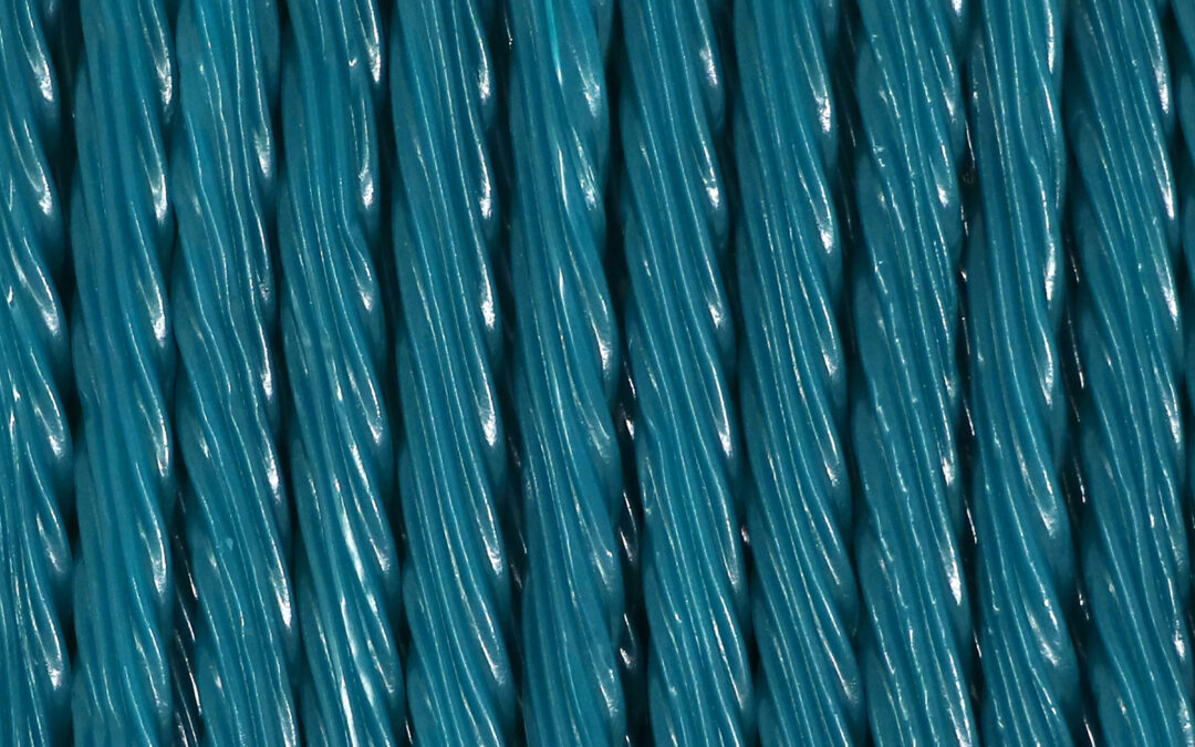 WW Twists Blue Raspberry Full