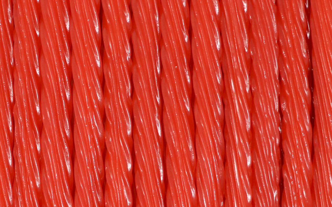 WW Twists Watermelon Full